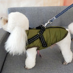 Army green dog coat with harness