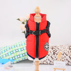 Red dog coat with harness