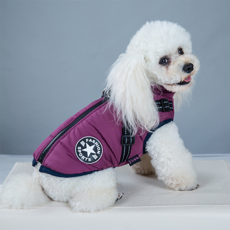 Purple dog coat with harness